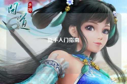 新手入门指南